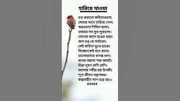 ক্যাসিনো ব্যবসা