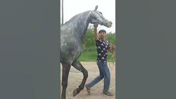 ক্রিকেট বাজির অভিজ্ঞতা শেয়ার করা