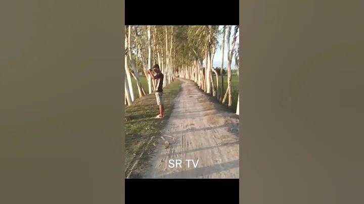 বিনোদ
