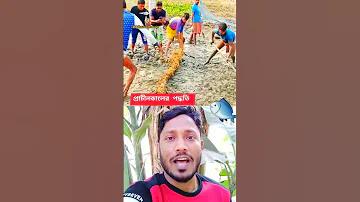 1980সালে বিশ্ব সুন্দরী কে