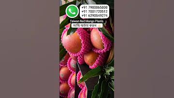 ল্যাপটপ অ্যাপস