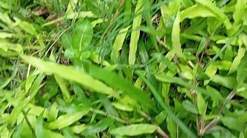 আমার জীবনে তোমাকে পেয়ে আমি ভাগ্যবান