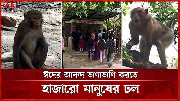 লঘু সংগীত কি