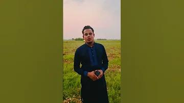 অনলাইন গাড়ি গেম