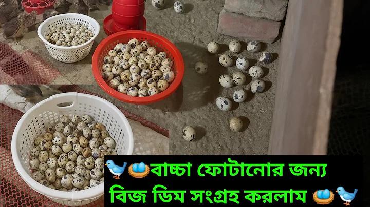 bet365 লাইভ স্ট্রীমিং ক্রিকেট