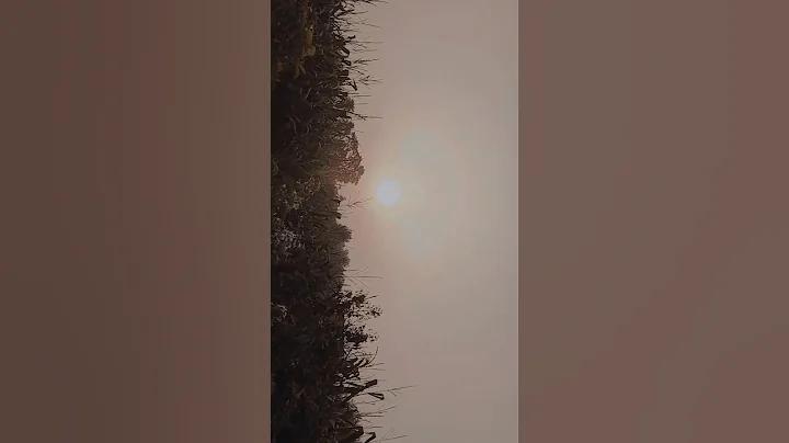 বৈশাখী ফ্যাশন