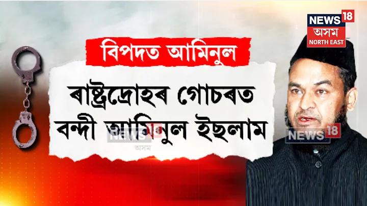 প্রো গেম বিড়াল
