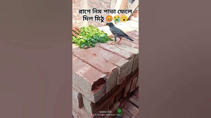 ইমেইল ওয়ালেট ভুলে গেছি