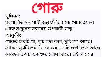 জিকিরের ঘটনা