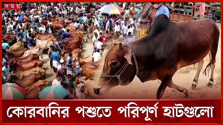 ইংল্যান্ড বনাম ইরান ফুটবল লাইভ
