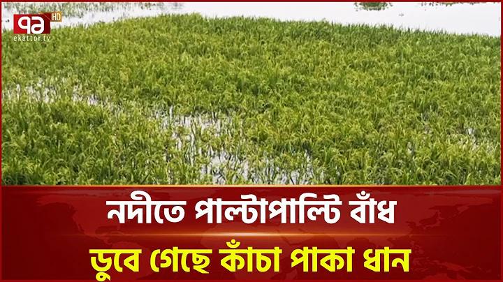 ম্যাচ স্কোর