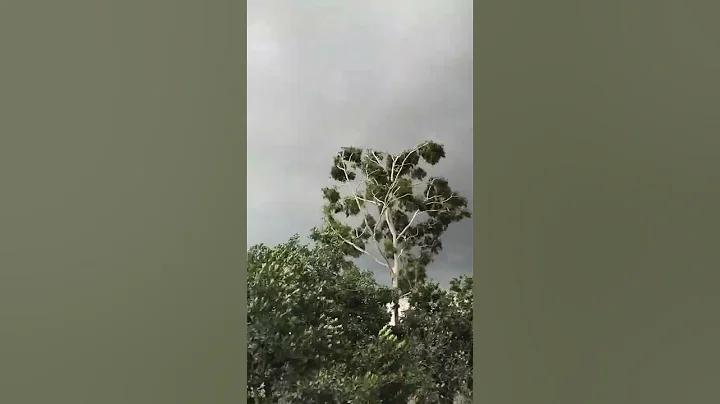 নগদ কোন দেশের কোম্পানি