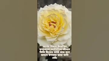 চন্দ্রযান লাইভ ভিডিও
