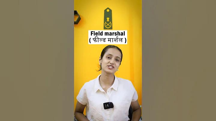 নির্বাহী বিভাগ
