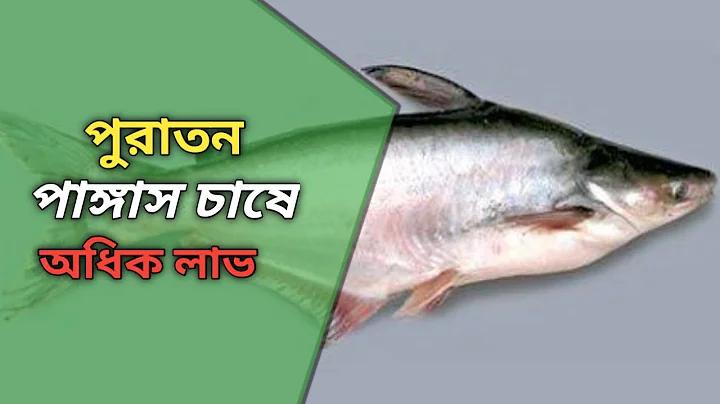 ল্যাপটপ চার্জার দাম