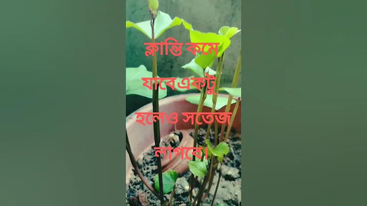 জুয়া খেলা কবিরা গুনাহ