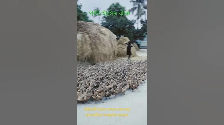 সিডিউল কি