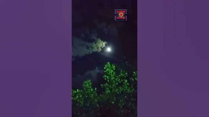 বাজিল খেলা লাইভ