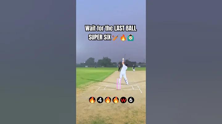 bfx অ্যাপ