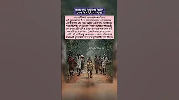 জনপ্রিয় স্লট ওয়েব প্রথম স্থান