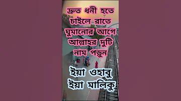 রিচেস888 সবকিছু
