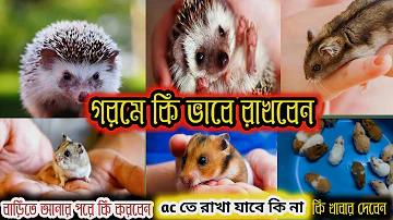 সময়ের ছন্দ