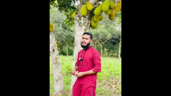 জেনে নিন "ক্রিকেট" নিয়ে অজানা অবাক করা কিছু মজার তথ্য!