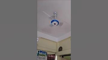 পিনা অর্থ কি