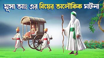 ওয়েব অনলাইন ফুটবল জুয়া