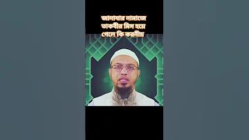 খেলার অ্যাপ
