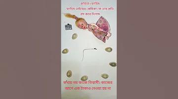 স্লট: ও'গোল্ড স্লট
