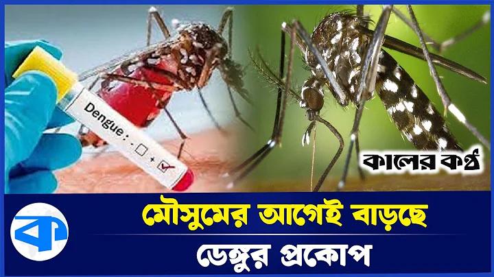 ক্রিকেট বাজি - E2Bet