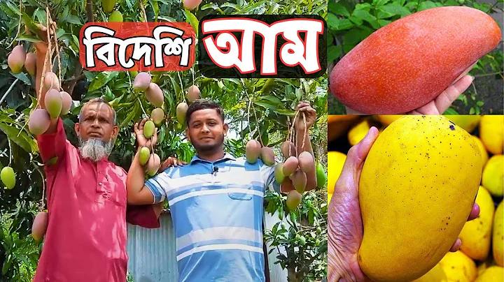 গুগল লাইভ লোকেশন