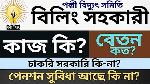 আন্তর্জাতিক এবং ঘরোয়া টুর্নামেন্টের জন্য ক্রিকেটের