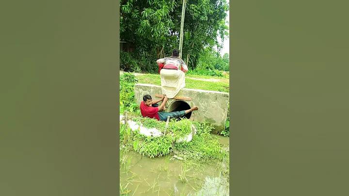 ৩১ ก ค মে 256
