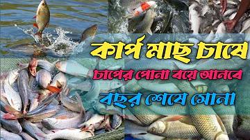 ওয়েব টেস্ট পিজি