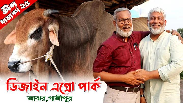 dengue news today in bangladesh