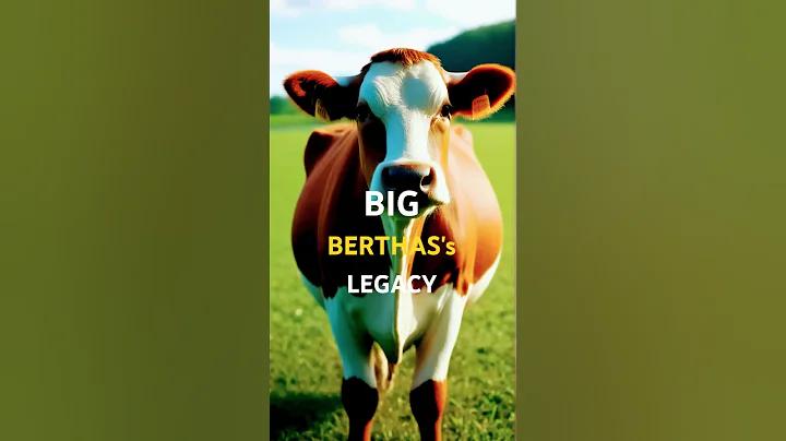 সেট bcpg