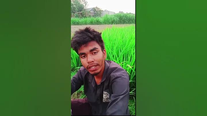 বরিশাল বনাম ঢাকা লাইভ