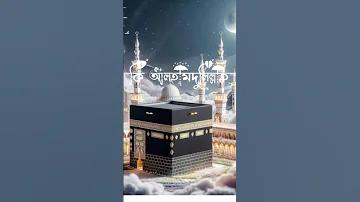 লাঠি ব্যবহার করা কি সুন্নত