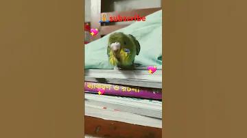 অনলাইন ক্যাসিনো সরাসরি 100