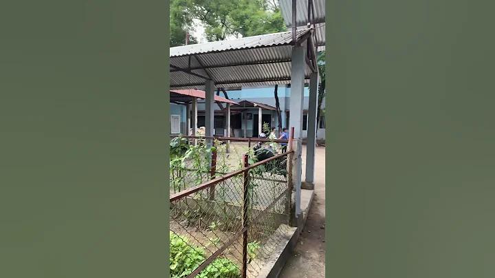 777 স্লট ডাউনলোড করুন