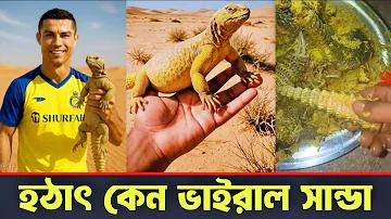 ইউরোপা লীগ