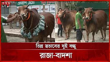 চাঁদ কোঙ্গ্রা CQ9