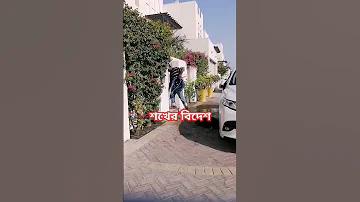 xxv 2022 লাইভ