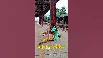 বিশ্ব পরিবেশ দিবস ২০২৪