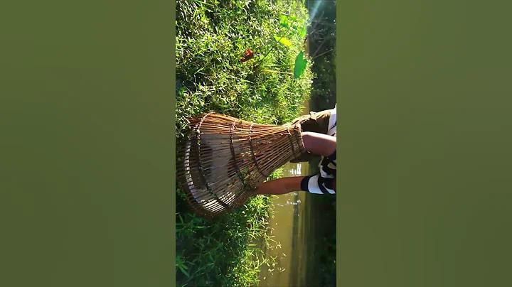 মডার্ন ওয়েবসাইট, আরও সুবিধাজনক