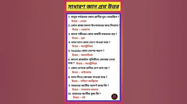 আর্জেন্টিনা বনাম ইতালি লাইভ ম্যাচ