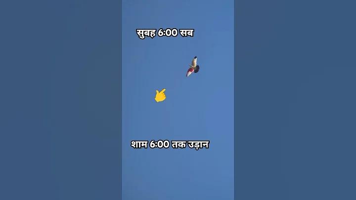 আর্জেন্টিনা ফ্রান্সের খেলা লাইভ