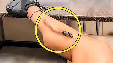 কোপা আমেরিকা লাইভ ট২৪